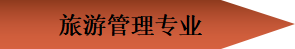 15E6 15E6